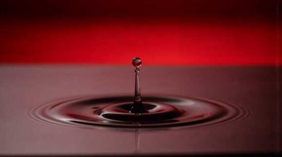 Technology leaders as catalysts for sustainable transformation: Embracing the green mandate 