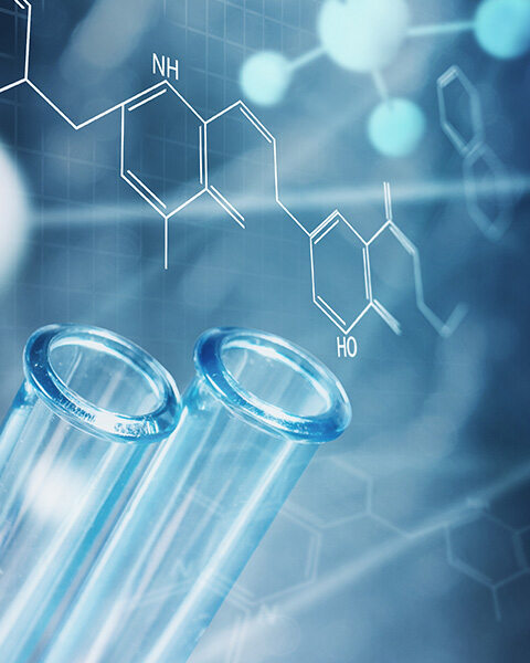 Development and implementation of a global sourcing strategy