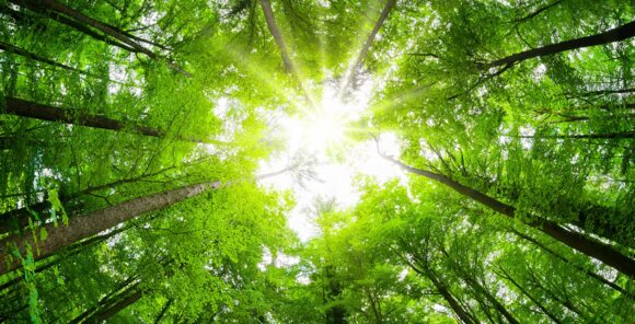 Encory enhances economic circularity and profitability through strategic partnerships