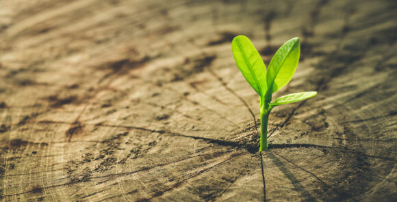 EU Green Deal: Mood barometer for chemical, pharmaceutical, oil and gas industries