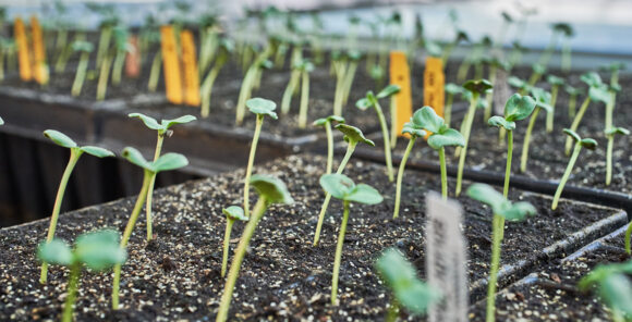 BearingPoint supported KWS in implementing a centralized treasury platform to achieve full visibility and control of its liquidity, cash, and treasury operations