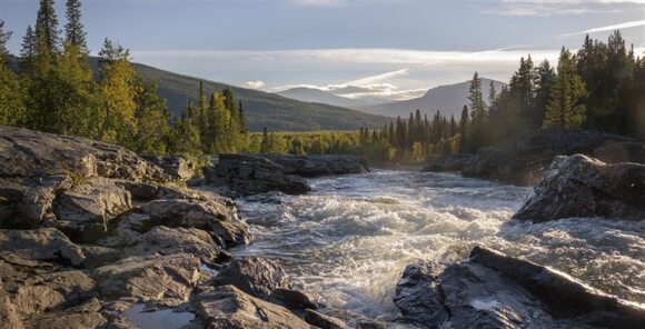 Exploring nature with a tap in an innovative app