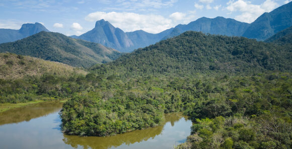 Biodiversity in Brazil: a fundamental concern for European companies