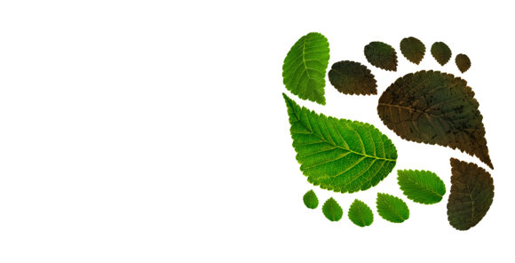 BearingPoint’s emissions calculator LogEC receives GLEC accreditation for norm-compliant and comprehensive emissions calculations