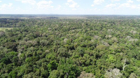 Jacunda REDD+ project in Brazil