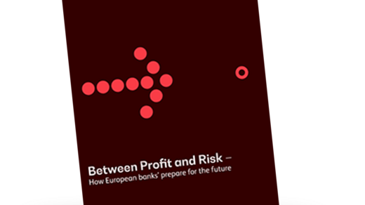 Study: Between Profit and Risk 