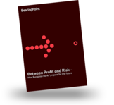 Study: Between Profit and Risk 