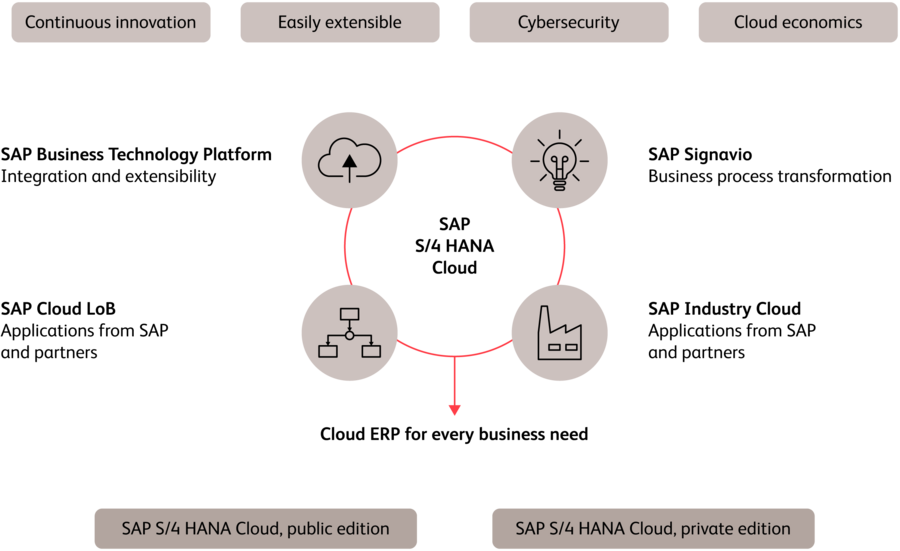 S/4HANA Public Cloud – GROW and RISE with SAP